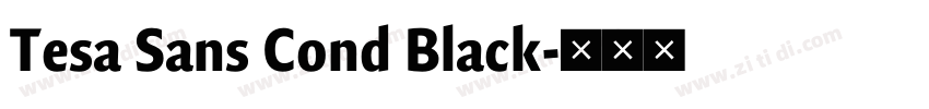 Tesa Sans Cond Black字体转换 Tesa Sans Cond Black字体转换